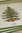 Pimpernel Tischset - CHRISTMAS TREE - Placemat