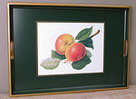 Tablett Lady Clare - HOOKER FRUITS - Large Tray