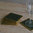 Untersetzer Lady Clare - BOTTLE GREEN - Coaster 6er Set dunkelgrün