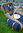 Picknickkorb - TWEED Blue Double Lid  für 4 Personen